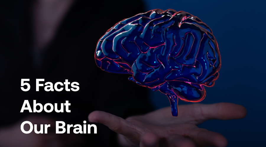 5 Brain Facts - You Don’t Know